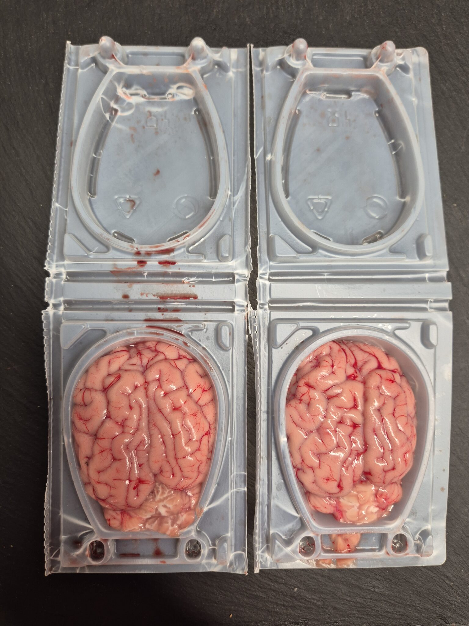 Cervelle d'agneau - 1 pièce