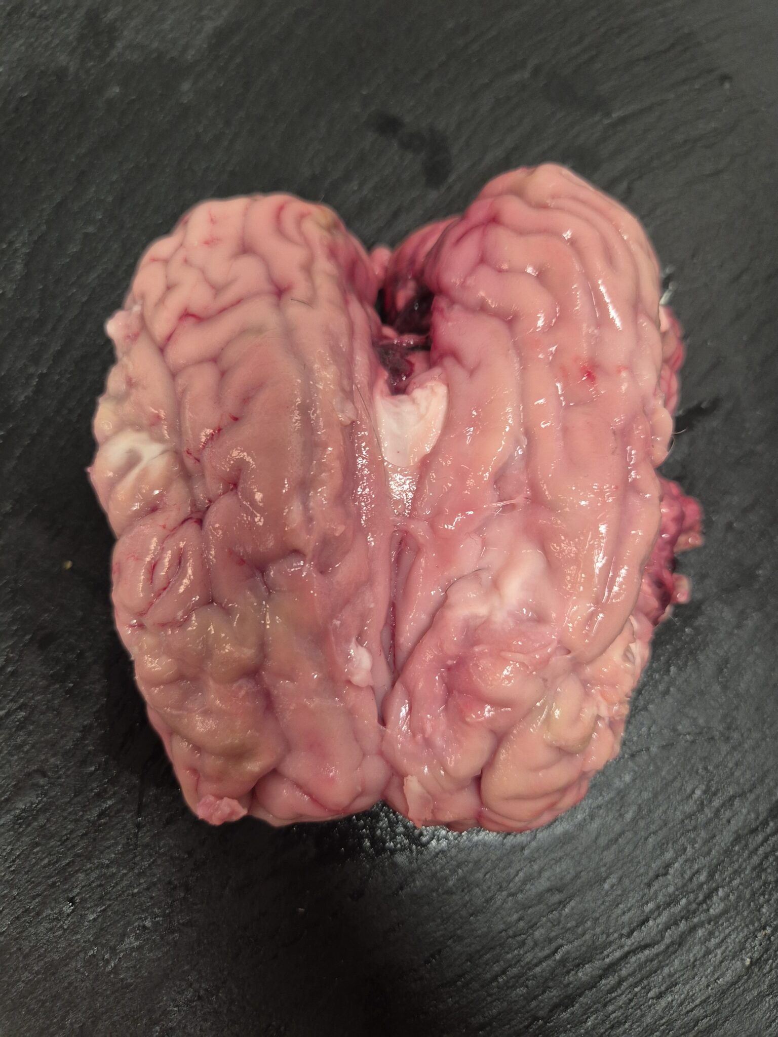 cervelle d'agneau x1 - 1 piece