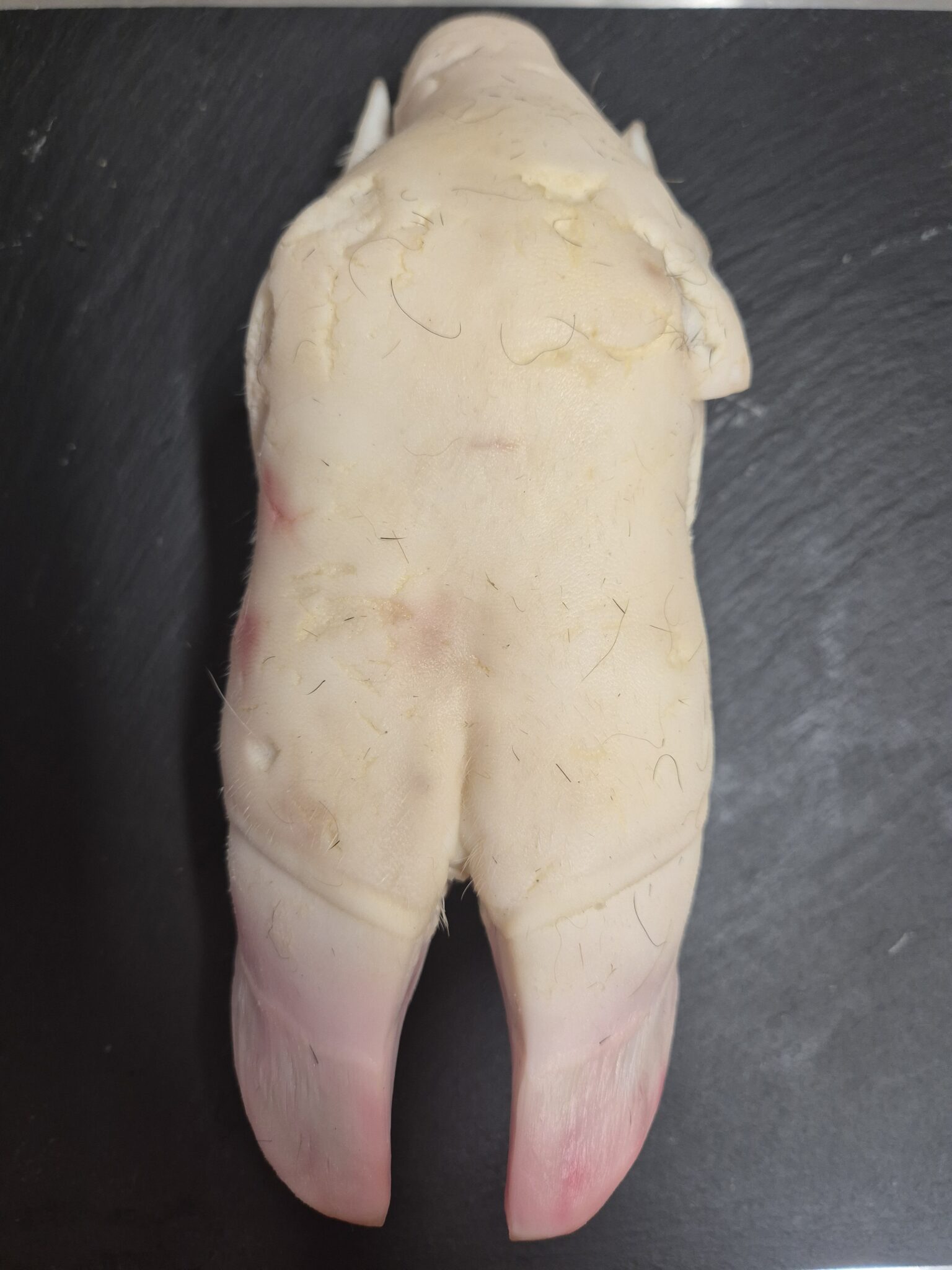 Pied de veau cru - vendu a l'unité