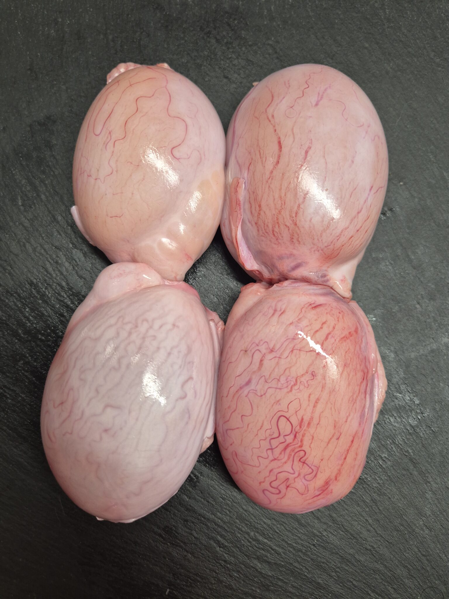 rognon d'agneau - 350gr